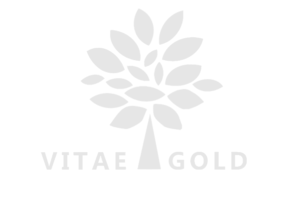 logo_0005_Logotipo-Vitae-Gold-1